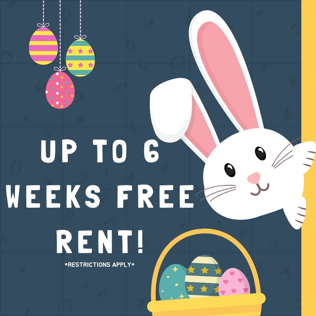 Up to 6 weeks FREE! 
